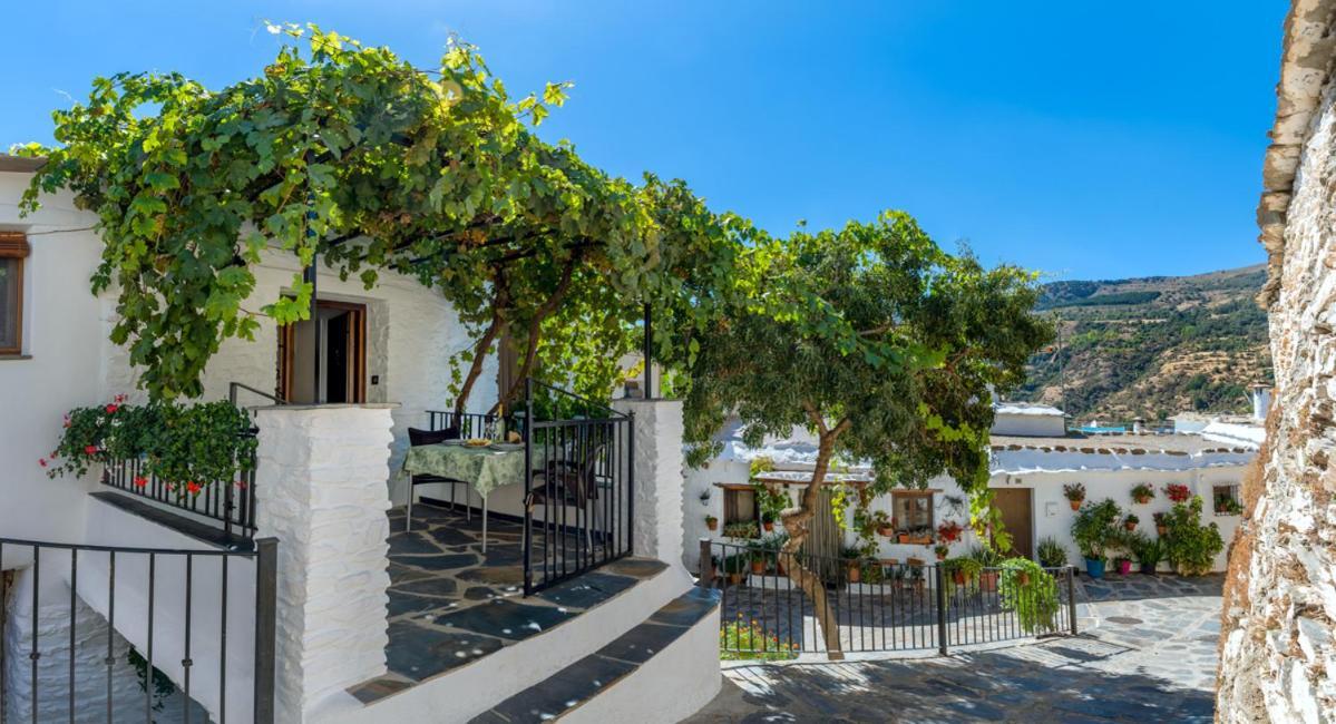 Casa Antonia Capileira La Alpujarra Apartamento Exterior foto
