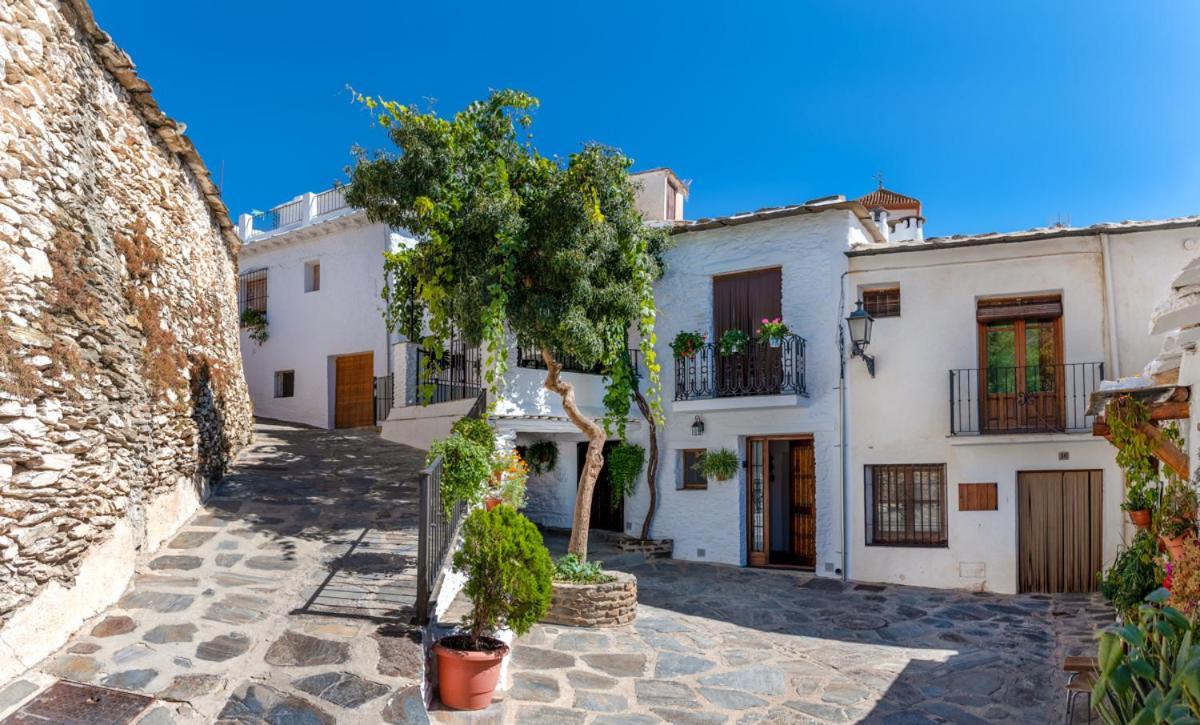 Casa Antonia Capileira La Alpujarra Apartamento Exterior foto